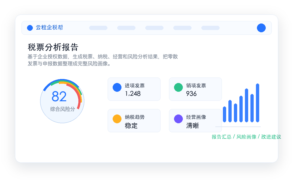 云粒企税帮税票分析报告界面